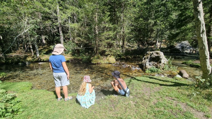 שאמוני והאלפים הצרפתיים